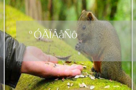 财滚滚催收怎么样?揭秘现代催收行业的佼佼者 财滚滚催收怎么样?揭秘现代催收行业的佼佼者