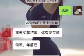 新乐清数公司哪里找？——全方位解析乐清数公司信息及选择指南