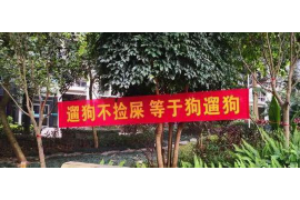 催收处置稽核制度:构建合规高效的债务管理新体系 催收处置稽核制度:构建合规高效的债务管理新体系